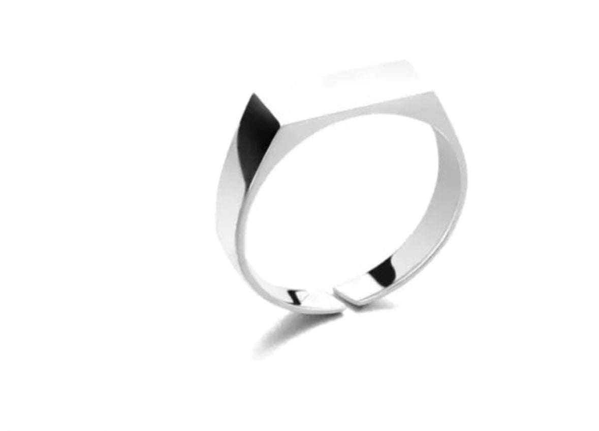 Stainless Steel Ring