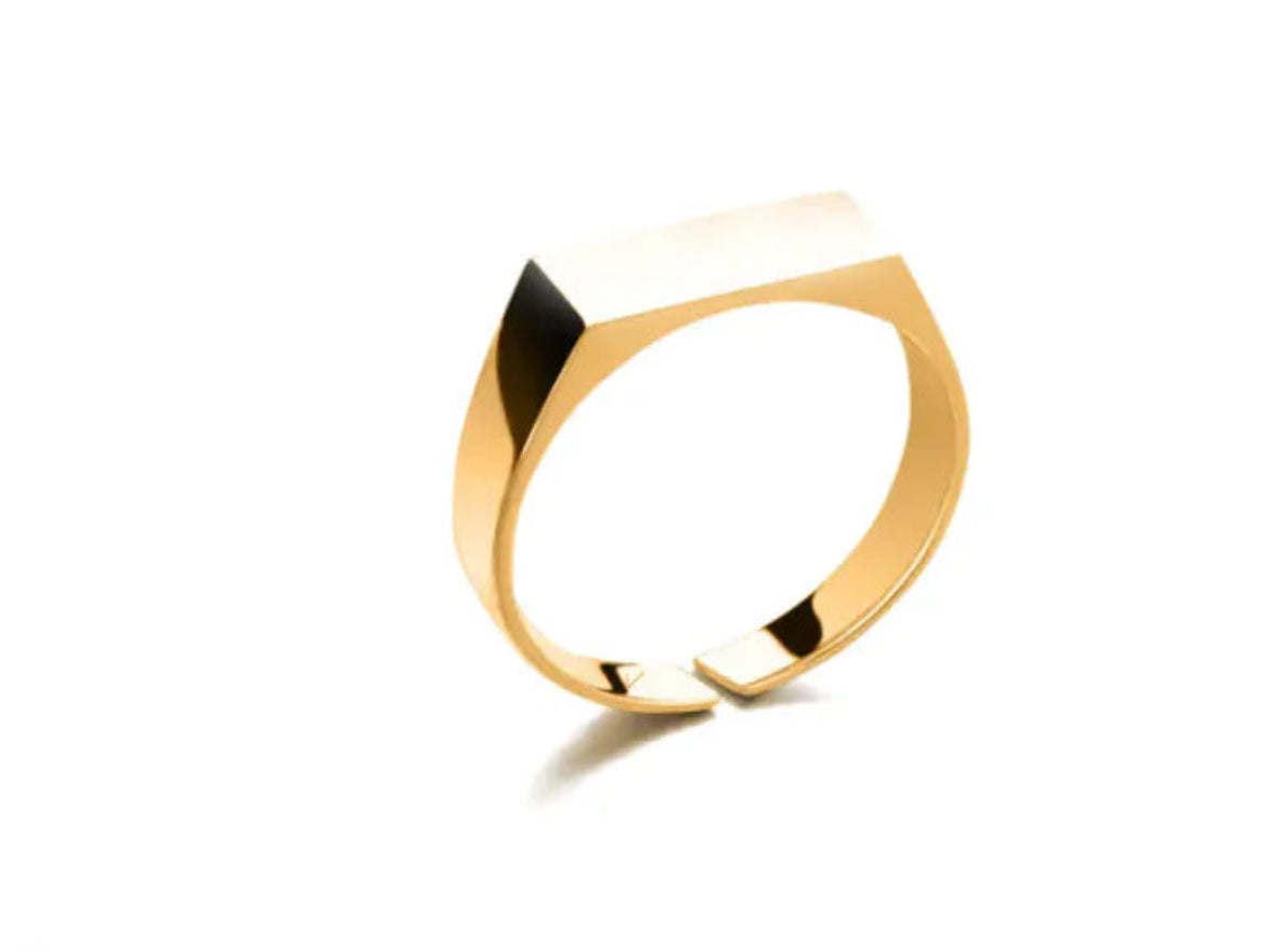 Stainless Steel Ring